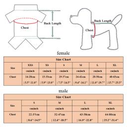 Calças fisiológicas de super absorção para animais, Fraldas descartáveis para cães, Fraldas à prova de vazamento para cachorro, Fraldas para cães femininos, 10pcs - Image 6