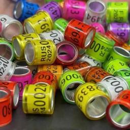Anel de Pé de Pombos com Multicolors, Ferramenta De Treino De Pássaros Com Números, 8x11mm, Papagaios e Pássaros, 2024 Anos, 10 Pcs, 50Pcs - Image 1