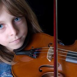 Arco de violino jogador de violino aluno acessórios de violino adequado para lojas de violino iniciantes escolas de música instrumentos musicais - Image 2