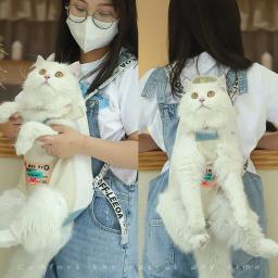 Gato do animal de estimação mochila portátil filhote de cachorro gato transportadora saco de viagem ao ar livre respirável pet cat frente ombro transporte saco estilingue suprimentos para animais de estimação - Image 3
