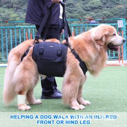 Sling portátil do cão para as pernas traseiras, Hip Support Harness, Older Limping Canine Aid, Dog Assist Reabilitação Lifting Leashes - Image 1