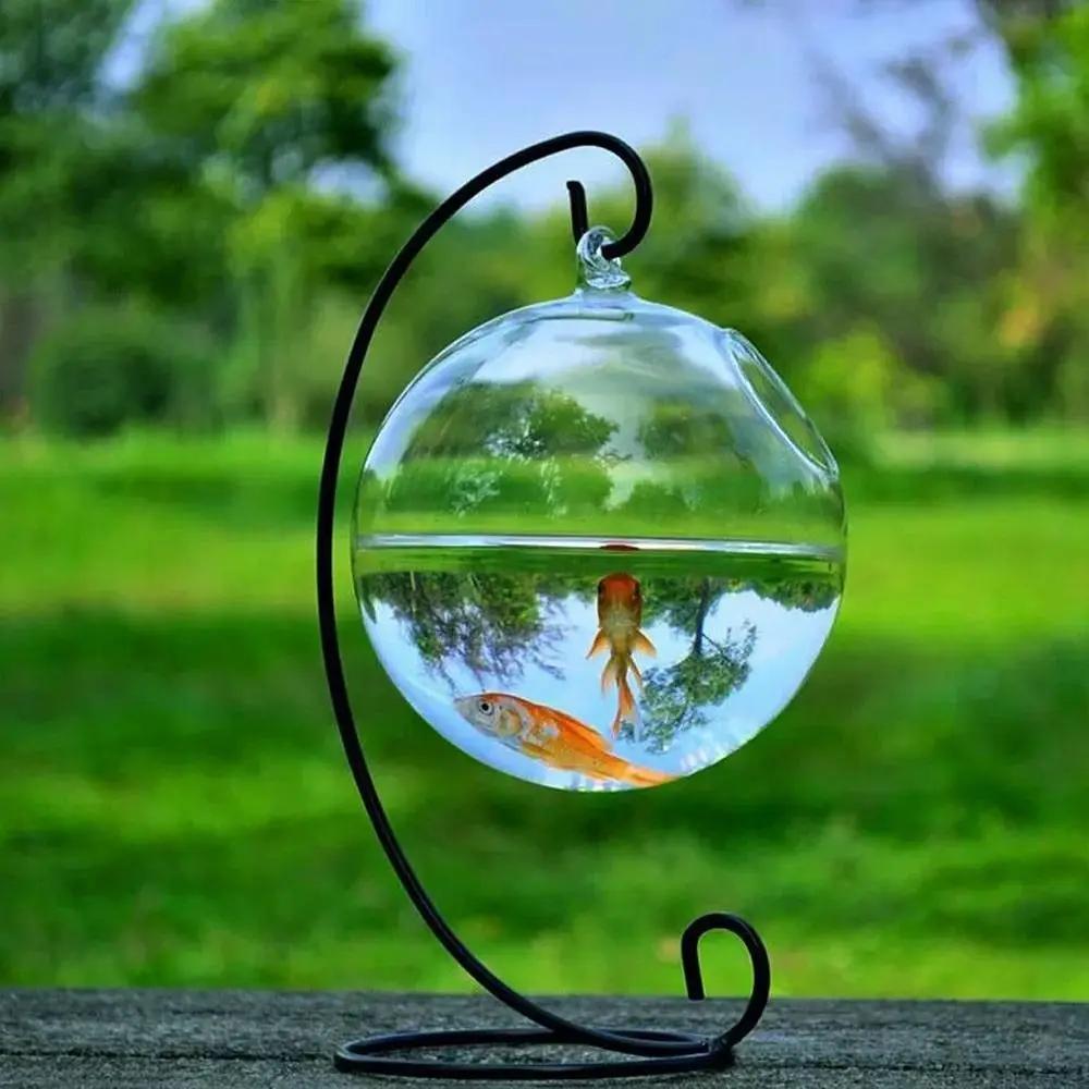 Criativo Pendurado Vaso De Vidro Com Rack, Aquário, Redondo ou Retângulo Em Forma, Suporte De Hidroponia, Decoração De Casa - Image 1