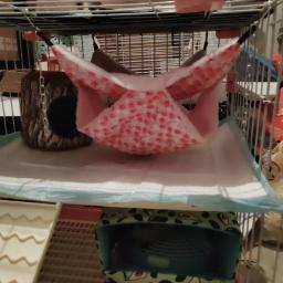 Dupla camada rede para pequenos animais de estimação, pendurado saco de dormir, esquilo hamster, isolamento rede, mel saco, pet fornecimentos - Image 2