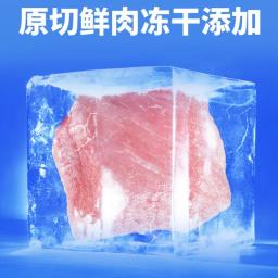 Alimento seco de alta proteína para animais de estimação, alimento nutritivo para gatos, probióticos sem grãos, 6% liofilizados, 1,5 kg - Image 5