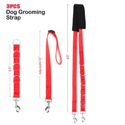 Ajustável cão grooming barriga cinta, D-anéis banho banda, tamanho livre cinto de tração, coleira, pet fornecimentos, 3pcs - Image 4