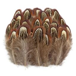 Atacado natural frango pavão ganso faisão pena pequenas penas para artesanato acessórios diy jóias decoração - Image 4