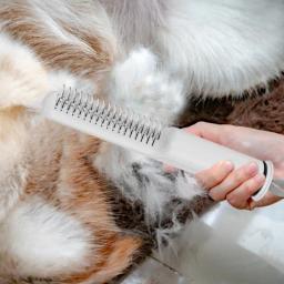 Pente De Remoção De Pêlo De Aço Inoxidável Para Animais De Estimação De Pele, Detangling De Cabelo, Dentes, Higiene, Acessórios De Derramamento De Cão - Image 6