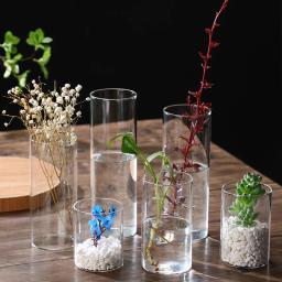 Vaso De Vidro Transparente De Tubo Reto Ecológico, vaso De Flores De Borosilicato Alto Criativo Paisagem, Decoração De Casa - Image 3