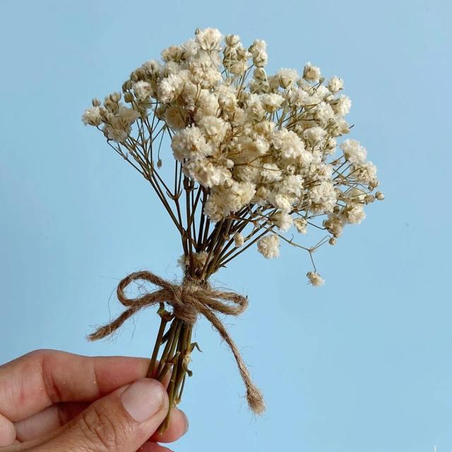 Buquê Seco Bela Flor Eterna para DIY: Kit Completo com Caixa de Presente Personalizada, Acessórios para Casamento e Decoração de Casa