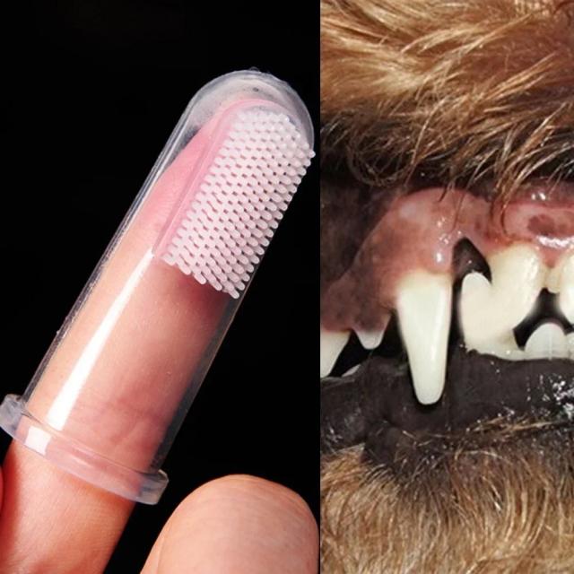 Escova de Dentes Super Macia para Pets - Combate Mau Hálito e Tártaro com Conforto para seu Cachorro