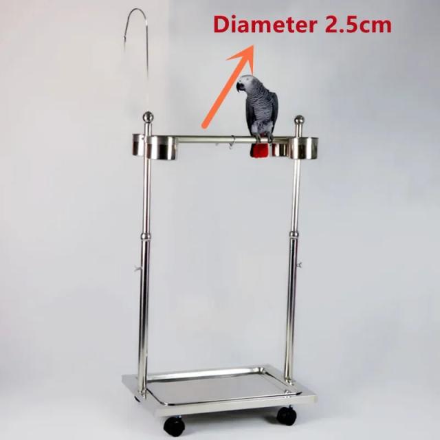 Pássaro Alimentador de Aço Inoxidável com Tigelas Ajustáveis e Suporte para Brincar - Ideal para Papagaios e Aves de Todas as Idades