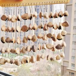 Frutas naturais chocalho sinos, Chakra Chimes Relaxamento, Profissional Instrumentos De Percussão Musical, Plant Husk Sound Beam, Meditação - Image 5