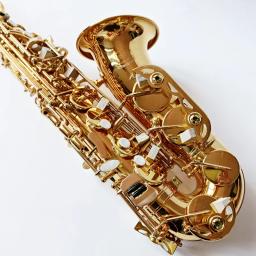 Saxofone Alto com Acessórios para Estojo, Latão Dourado Laca, Instrumento de Música, Sax E-Flat, Nova Chegada - Image 2