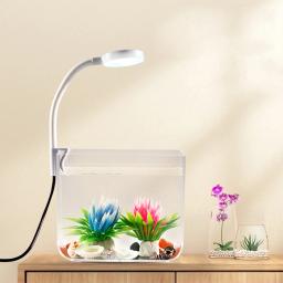 Anti Slip Base Aquarium Starter Kits, Pequeno tanque de peixes com braçadeira, Tanque quadrado para decoração do quarto - Image 2