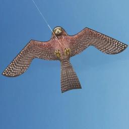 Emulação Flying Hawk Kite, Scarer Drive, Repelente para Garden Scarecrow, Mantenha os pássaros longe, sem pólo - Image 1