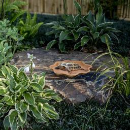 Piscina de banho para répteis, acessórios para anfíbios, grande com rampa, tigela de água para tartaruga, hamster, escorpião, leopardo - Image 5