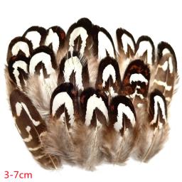 Pena De Faisão Natural Para Decoração De Casamento, Avestruz E Turquia Plume, Acessórios De Natal, Mesa DIY Centere, Artesanato, 20-500Pcs - Image 5