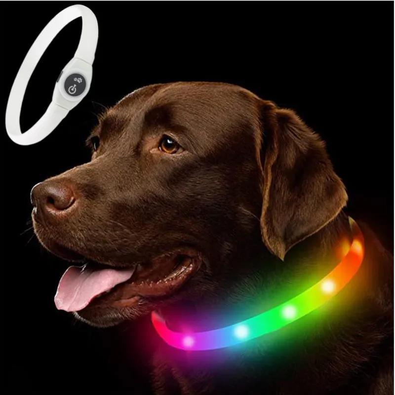 LED Luminous PVC Dog Collar, impermeável, USB Luz, Segurança Noturna, Brilhante Acessórios Pet, Grande, Médio, Cães pequenos, Novo - Image 1