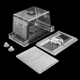 Caixa criação peixes, caixa isolamento transparente, incubadora aquário com ventosas para recém-nascidos, camarão 2 - Image 5