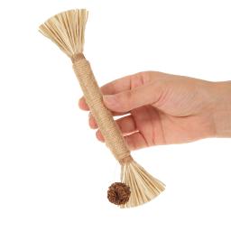 Natural matatabi pet cat petiscos varas limpeza dente catnip gato brinquedos actinidia silvervine brinquedo para gatos acessórios - Image 3