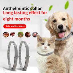Colar anti-pulgas extensível para animais de estimação, colar anti-pulgas e tick, filhotes e gatos personalizados, anti-pulgas para cães grandes - Image 1