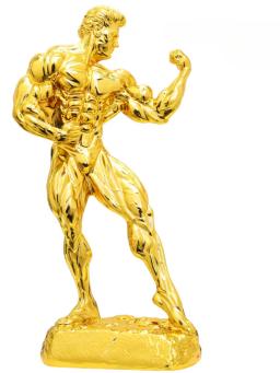 Troféu Musculação para Homens e Mulheres, Prêmios Musculação, Competição Fitness - Image 1