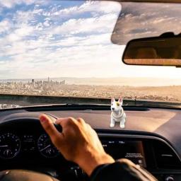 Bobblehead estátua balançando cabeça painel do carro ornamento figuras de ação dos desenhos animados modelo colecionável resina bonito para mesa do quarto - Image 4