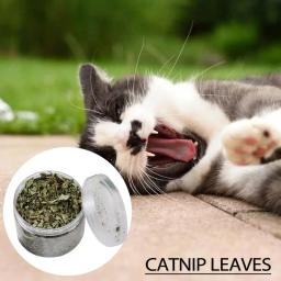 Natural Catnip Orgânico Premium Catmint para Gatos, Brinquedo para Gato, Cataria para Eliminar Bolas de Cabelo, Alimentos Absorventes, Suplemento Vitamínico - Image 4
