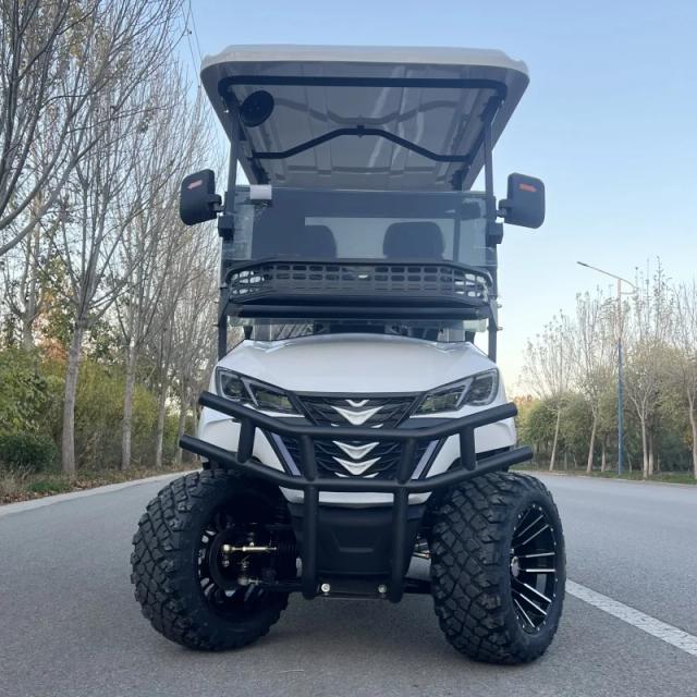 Carrinho de Golfe Elétrico Off-Road 2-8 Assentos - Legal para Rua