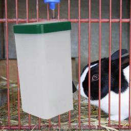Bebedouro de estimação automático, Distribuidor de água, Alimentador de água para pequenos animais, Coelho, Hamster, Cobaia, Esquilo - Image 1