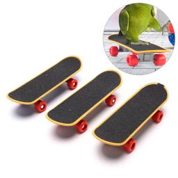 Engraçado treinamento mini skate suprimentos de pássaro patins lovebird canários poleiro aves acessórios adequados para papagaio - Image 2