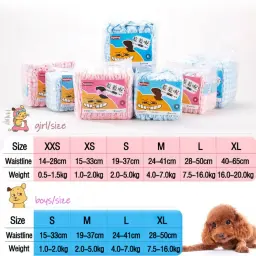 Fraldas para cães pet fraldas descartáveis à prova de vazamento pequeno filhote de cachorro do sexo masculino fraldas para cães - Image 6