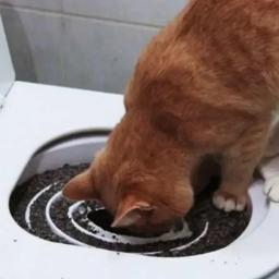 Reutilizável Indoor Potty para Gatos, Indoor Pet Kit Suprimentos de Lixo de Toalete, Sistema de Treinamento de Gato Profissional - Image 3