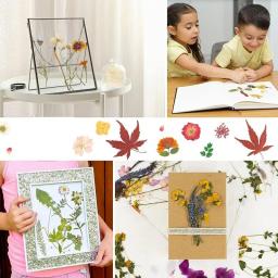 Kit De Preservação De Flores Secas De Madeira, Kit De Imprensa De Flor, Ferramenta De Espécime, Handmade DIY, Buquê De Casamento, Conjunto De Memória, Mini Livros - Image 2