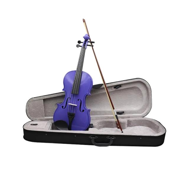 Violino Roxo 4/4 para Iniciantes com Arco e Acessórios Incluídos