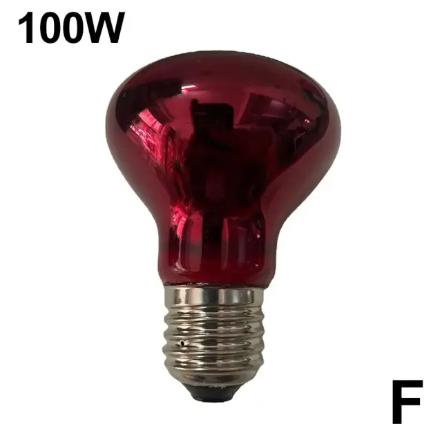 Lâmpada UV de Aquecimento para Répteis e Anfíbios - Opções de 25W a 100W para Dia e Noite, Ideal para Plantas e Animais de Estimação 220-240V