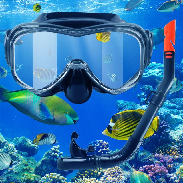 Máscara de Snorkel Para Adultos com Visão Panorâmica e Antinevoeiro