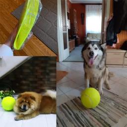 Bola de tênis inflável gigante para cachorro, Chew Toy, Pet Dog Brinquedos interativos, Big Cricket Supplies, ao ar livre, 24cm - Image 6