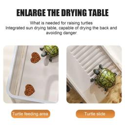 Tartaruga Tanque Répteis Terrários, Caixa De Alimentação Com Plataforma Basking, Aquário Aquático Tartaruga, Suprimentos De Terrários - Image 5