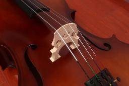 Profissional Matte Basswood violoncelo com Caixa Dura, Violoncelo Estudante, Instrumento de Cordas, Iniciante, Iniciante, 4/4, 1/2, 1/4, 1/8 - Image 3