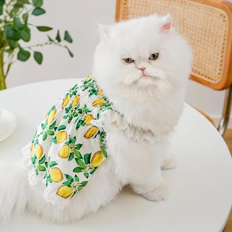 Vestidos xadrez listrados com arco para gatos, Pet Clothes, Puppy Princess Dress, Kitten Dog Sphynx Clothing - Image 1