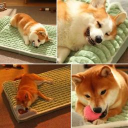 Cama do cão ortopédica removível, almofada do filhote de cachorro, estilo Four Season, memória espuma cão travesseiro, conforto CSoft Pet fornecimentos, atualizações - Image 3