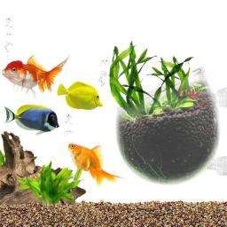 Aquário Vidro Planta Vaso com Otários, Cilindro Cup, Aquático, Cultivar, Sementes, Coral, Musgo, Aquário, Decoração Acessório - Image 2