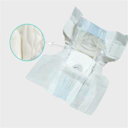 Super absorção calças fisiológicas fraldas para cães pequenos fêmea cão coelho descartável leakproof fraldas filhote de cachorro 10 pçs/set - Image 5