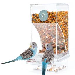 Alimentador Automático para Periquitos Pequenos e Médios, Sem Alimentadores de Pássaros, Recipiente De Alimento De Semente De Acrílico, Bebedor, Gaiola Acessórios - Image 1