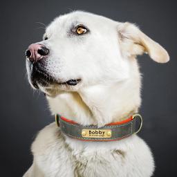 Colar de identificação do animal de estimação personalizado colar de identificação de cão macio acolchoado colar de couro personalizado nome gravado pata para cães médios pequenos pug - Image 5