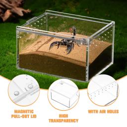 Acrílico Rastejando Pet Box Terrário para Répteis, Canil, Lagarto, Tartaruga, Aquários, Climbing Feeding Container - Image 2