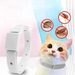 Coleira de Silicone Anti-Flea Pet, Coleira Tick para Cães e Gatos Pequenos, Acessórios para Animais de Estimação, 8 meses - Image 2