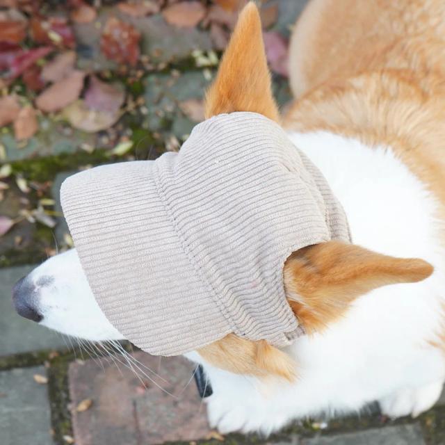 Chapéu Ajustável para Cães e Gatos com Furo para Orelha - Capela Pescador Ideal para Aventura, Cosplay e Proteção Solar
