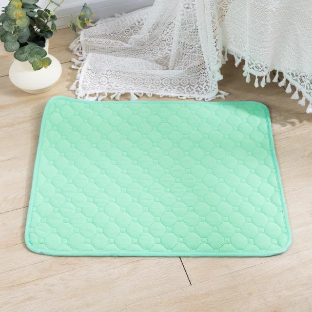 Fralda Reutilizável para Cachorros - Almofada Absorvente Lavável e Treinamento, Ideal para Carro e Casa